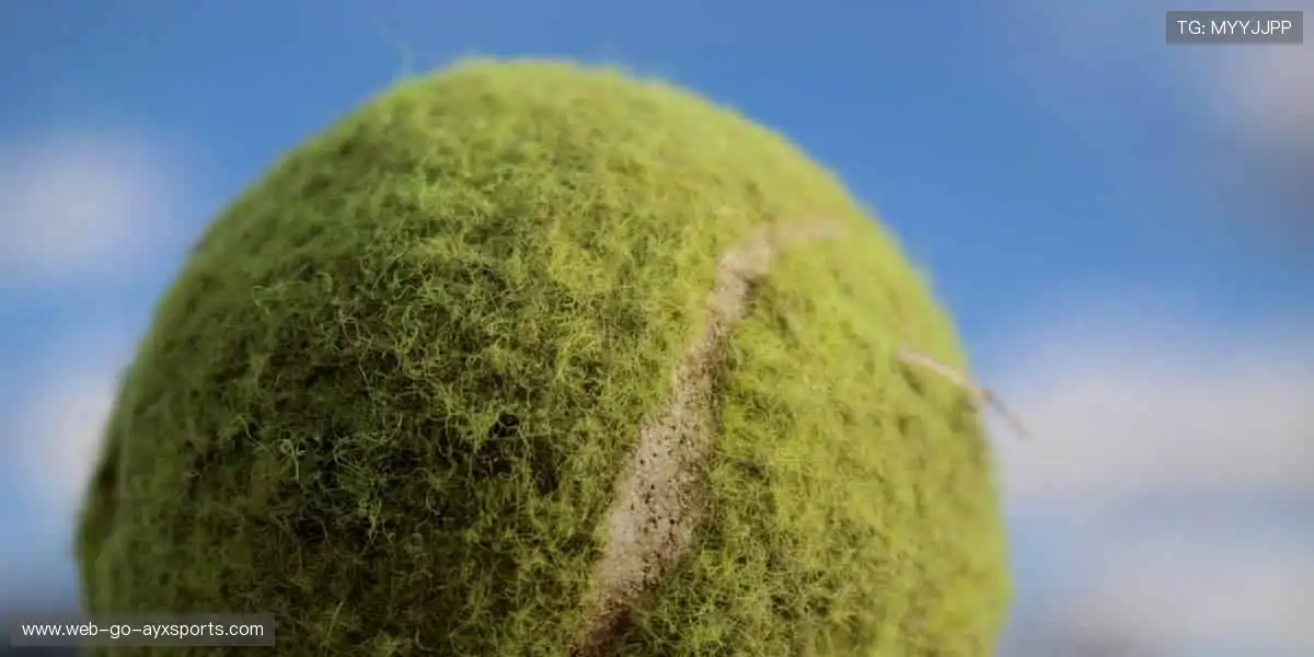 🏆点燃赛场热血，见证巅峰对决！