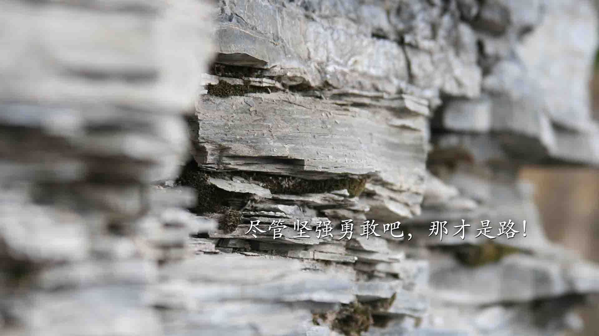 英超球队高压比赛中运动员心理韧性与表现关系研究