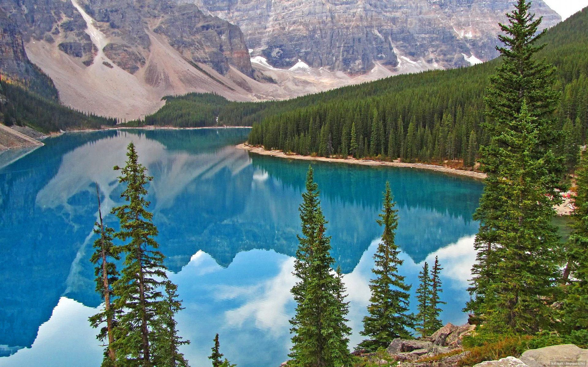 张雨霏泳姿标准获专家称赞,游泳张雨霏身高及年龄