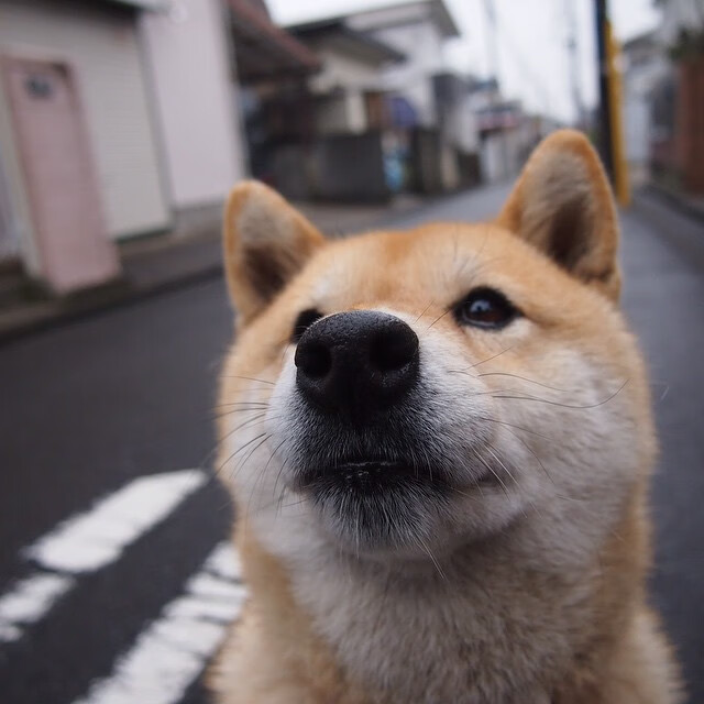 拉文快攻连线展现公牛速度优势,拉文在公牛还有几年就续约了