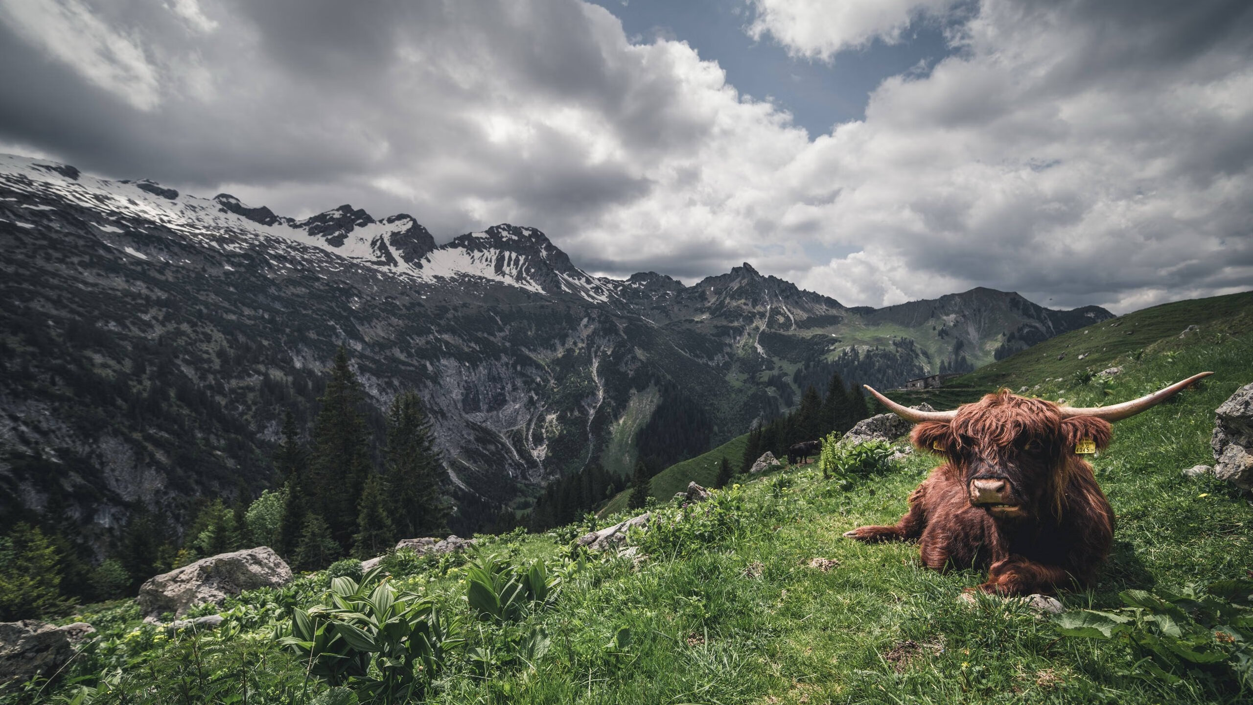爱游戏官网-法国队赛后分享备战心得与团队故事，法国队友